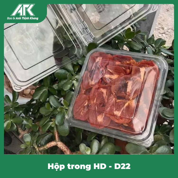 hop-trong-hd-d22